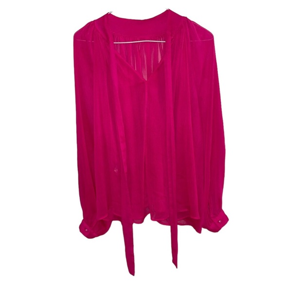 Zara Sheer Blouse - Picture 2 of 5